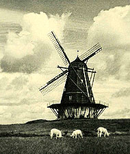 Decor Windmills