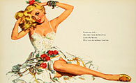 Man Cave Decor Pin Up Girl