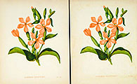 Residential Decor Sunroom